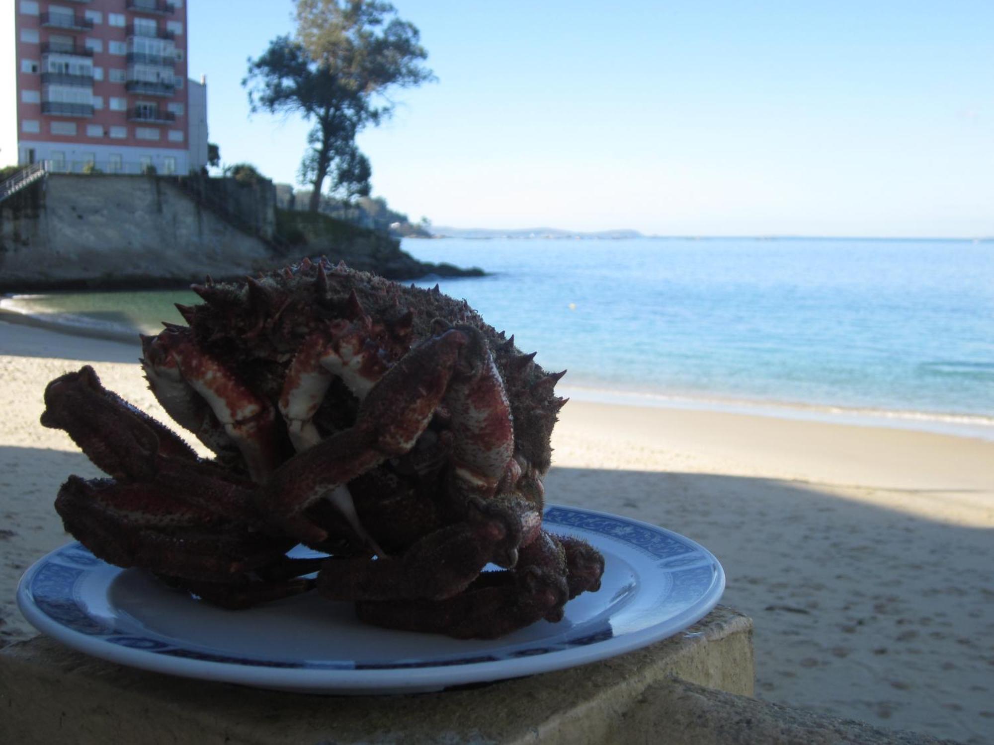 Hotel Restaurante Loureiro Bueu Zewnętrze zdjęcie