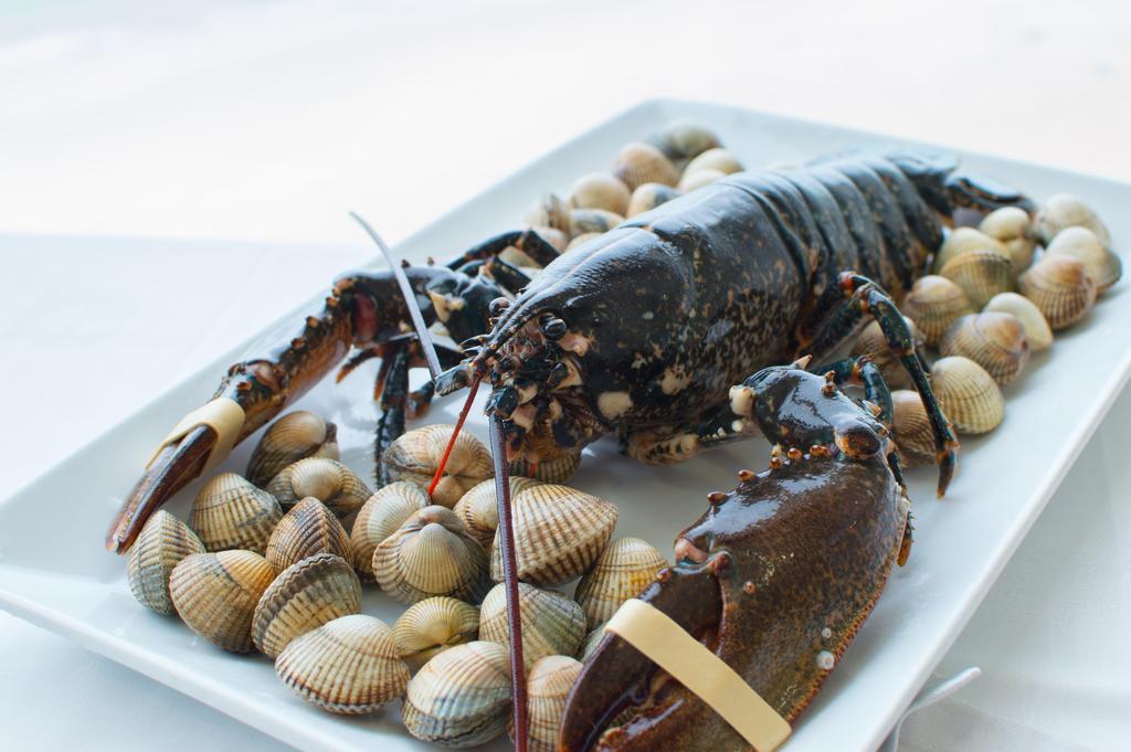Hotel Restaurante Loureiro Bueu Zewnętrze zdjęcie