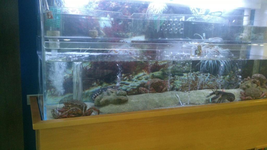 Hotel Restaurante Loureiro Bueu Zewnętrze zdjęcie